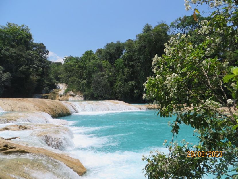  - 6 Aqua Azul - Miso Ha