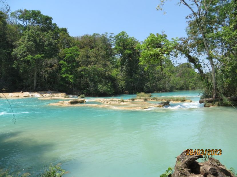  - 6 Aqua Azul - Miso Ha