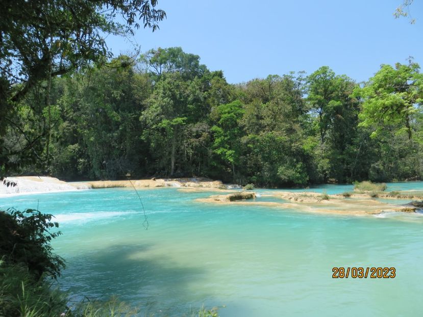  - 6 Aqua Azul - Miso Ha