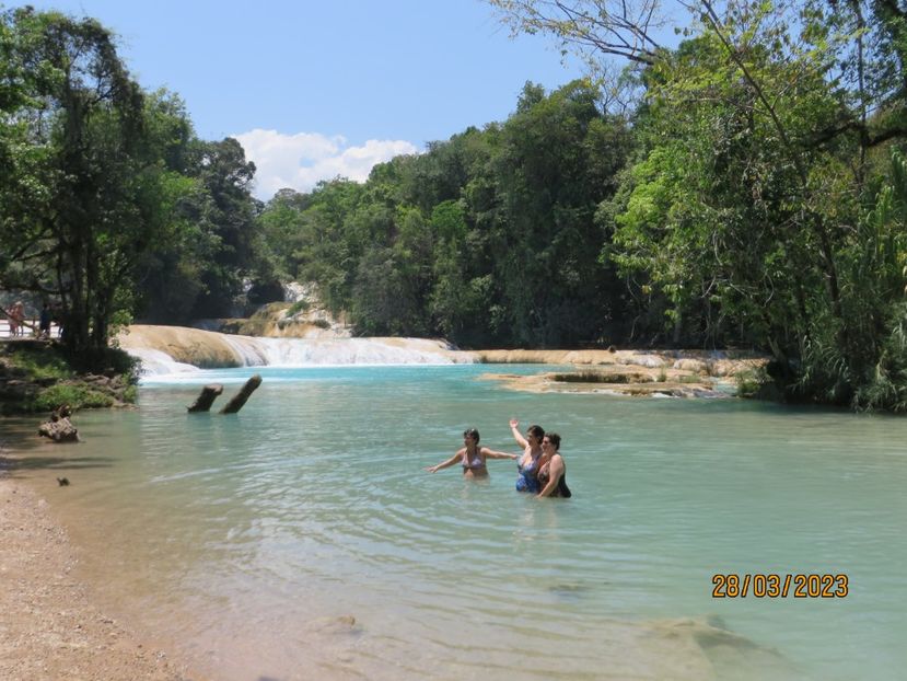  - 6 Aqua Azul - Miso Ha