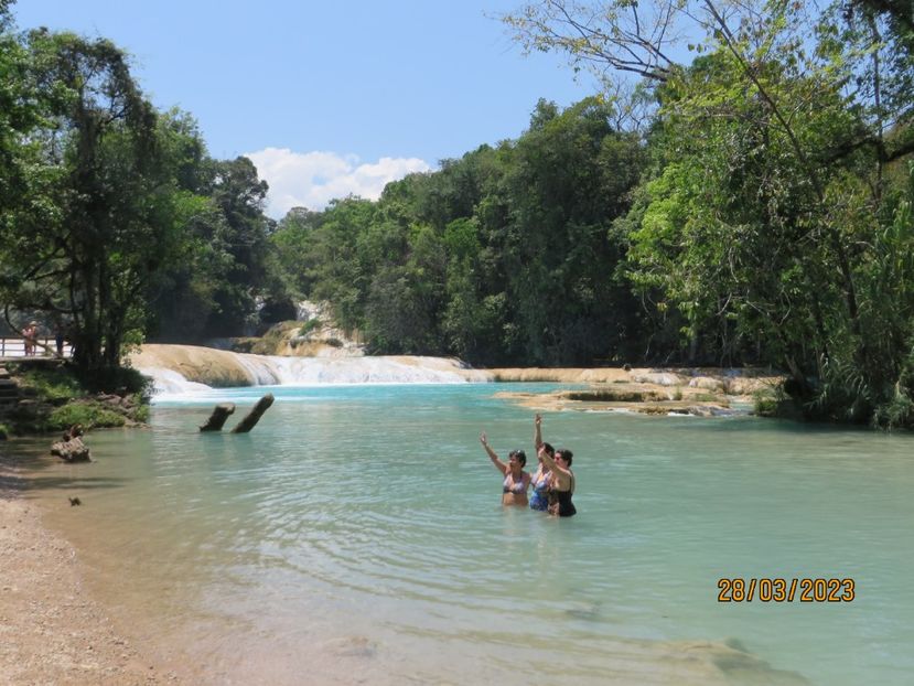  - 6 Aqua Azul - Miso Ha