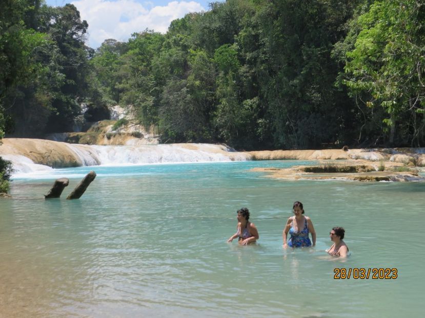 - 6 Aqua Azul - Miso Ha