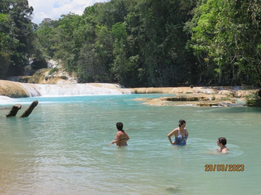  - 6 Aqua Azul - Miso Ha