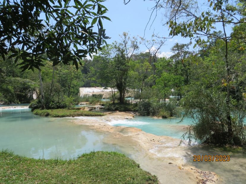  - 6 Aqua Azul - Miso Ha