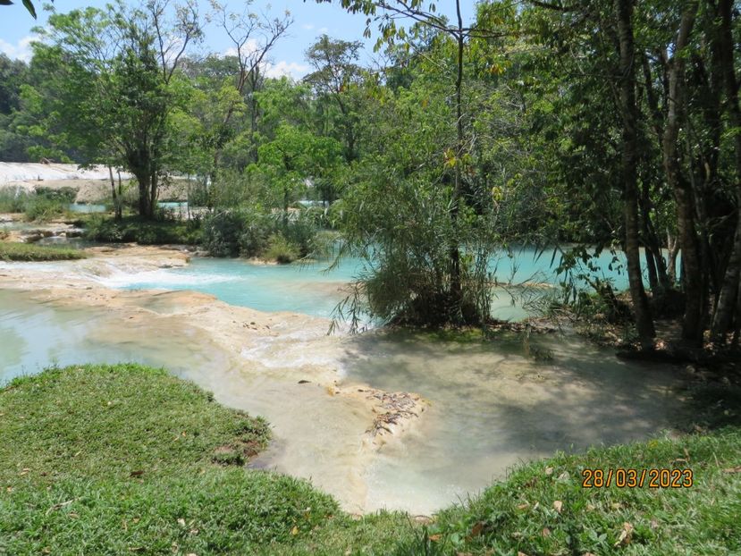  - 6 Aqua Azul - Miso Ha