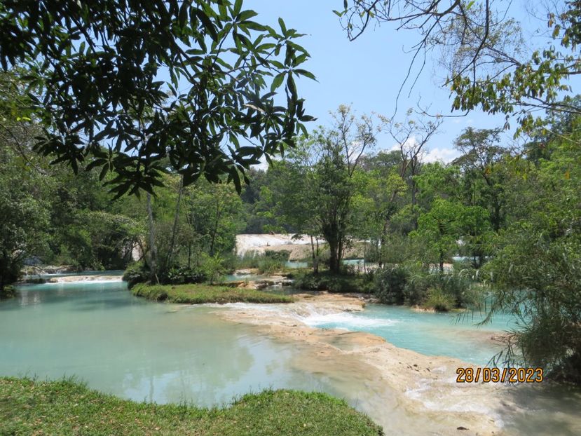  - 6 Aqua Azul - Miso Ha