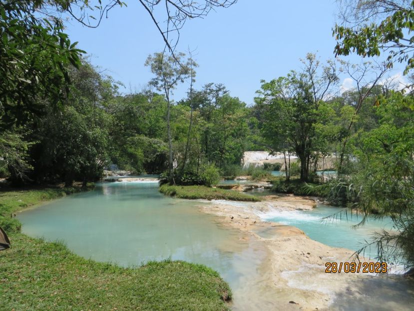  - 6 Aqua Azul - Miso Ha