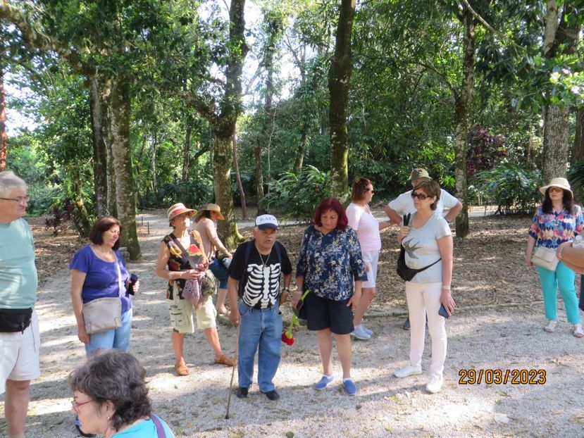  - 7 Palenque