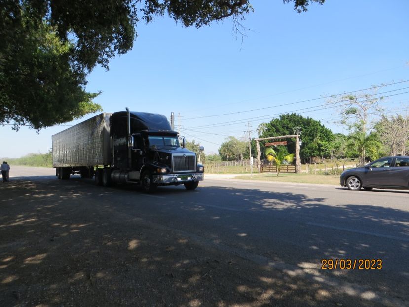  - 7 Palenque