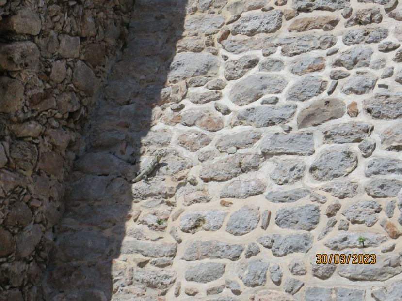  - 8 Campeche - Uxmal