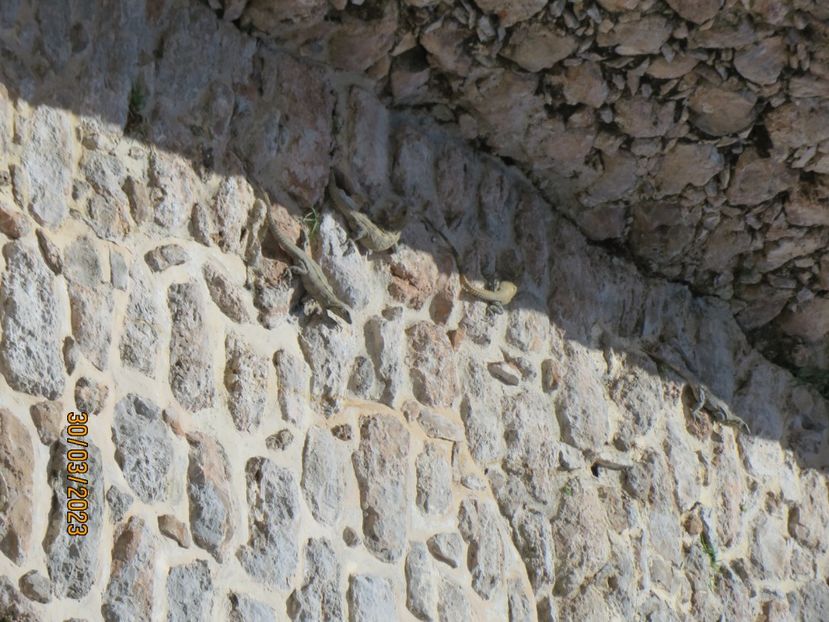  - 8 Campeche - Uxmal