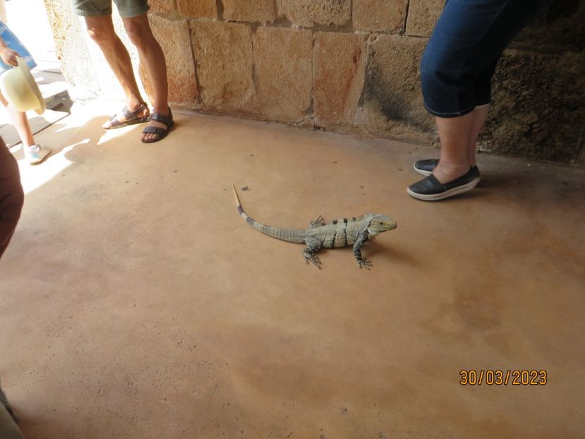  - 8 Campeche - Uxmal