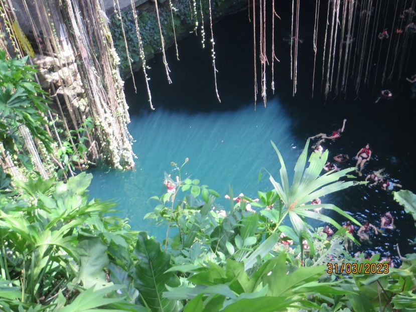  - 10 Cenota Ikkil - Cancun