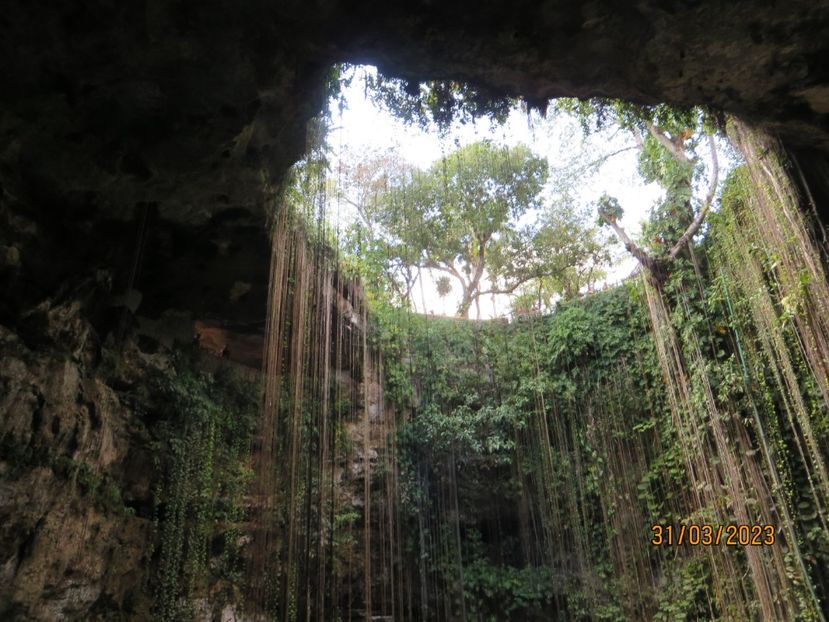  - 10 Cenota Ikkil - Cancun