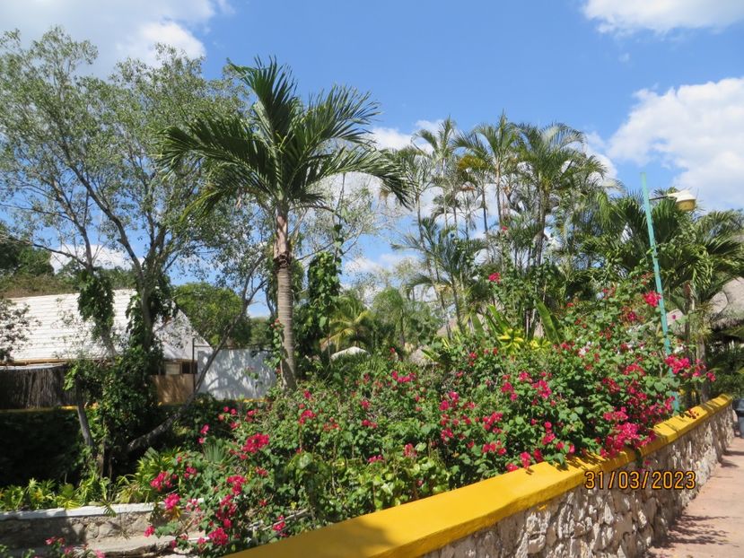  - 10 Cenota Ikkil - Cancun