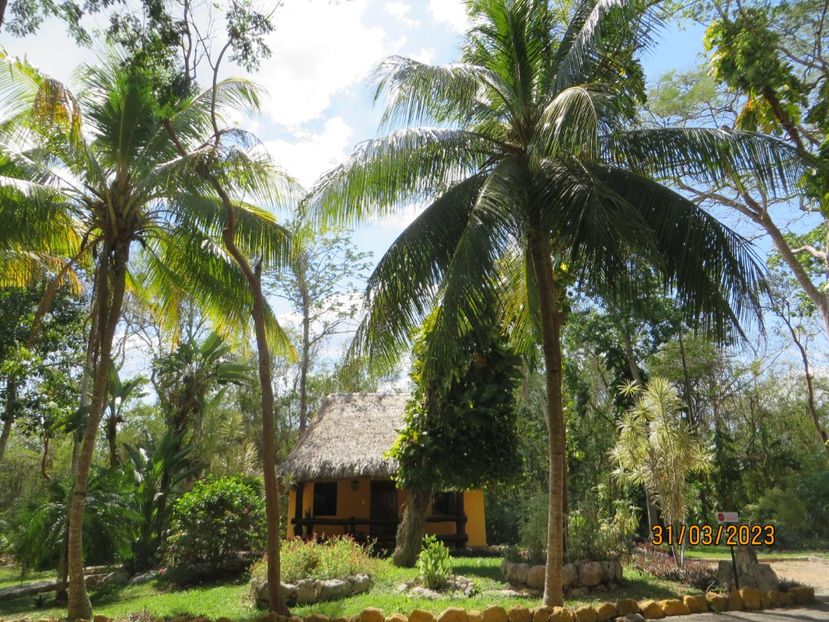  - 10 Cenota Ikkil - Cancun