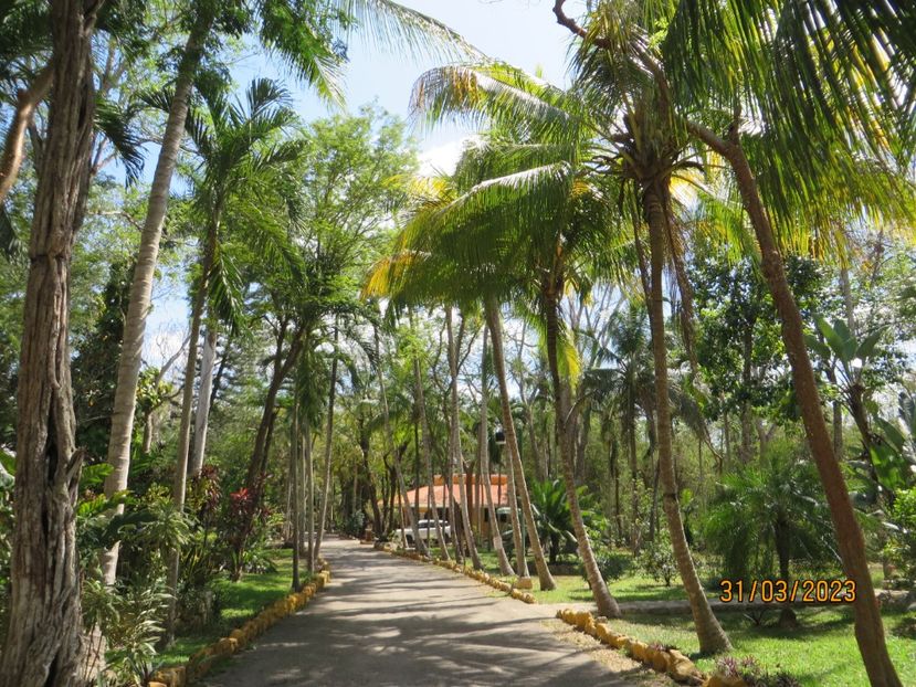  - 10 Cenota Ikkil - Cancun