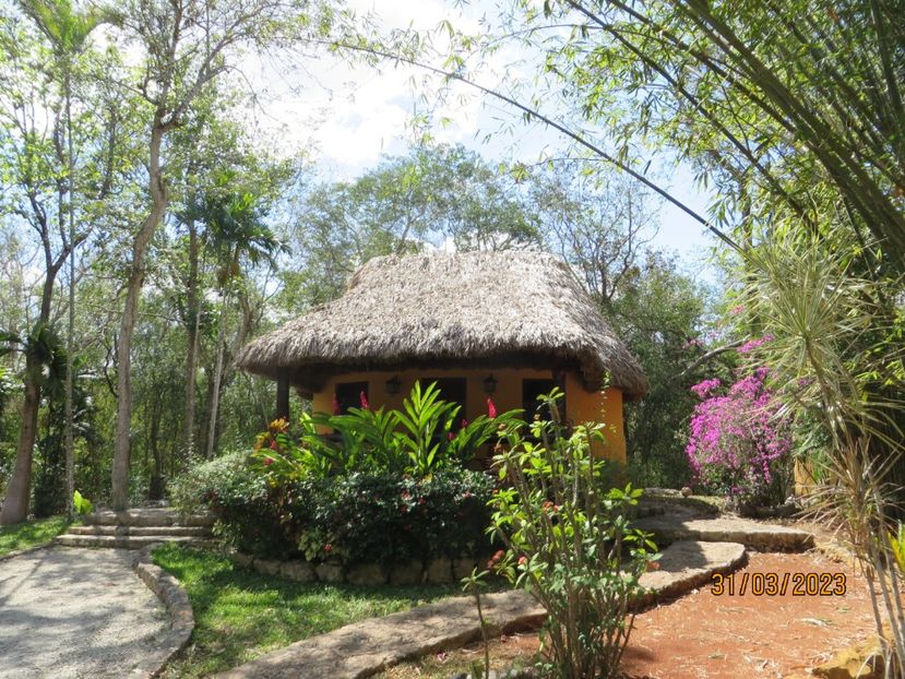  - 10 Cenota Ikkil - Cancun