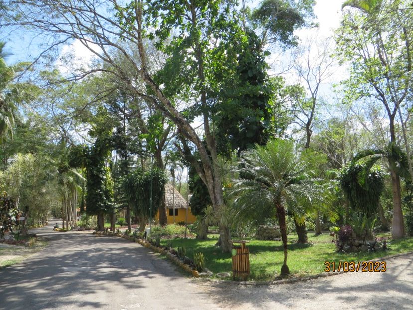  - 10 Cenota Ikkil - Cancun