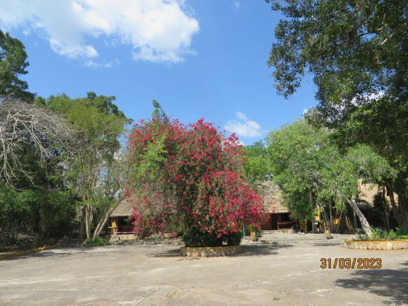  - 10 Cenota Ikkil - Cancun