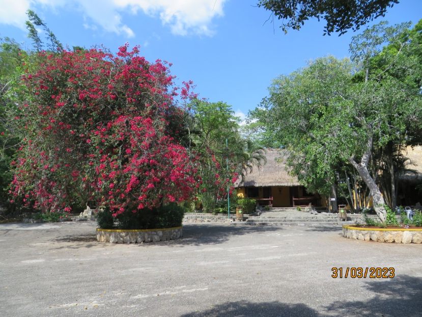  - 10 Cenota Ikkil - Cancun