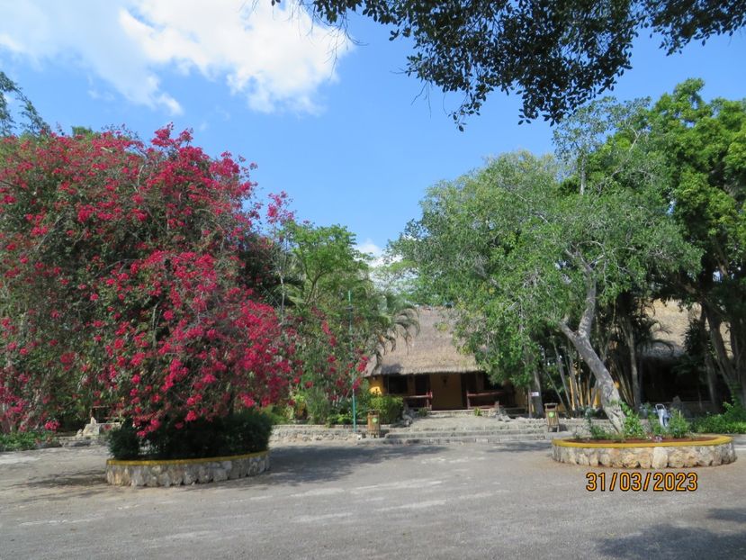  - 10 Cenota Ikkil - Cancun