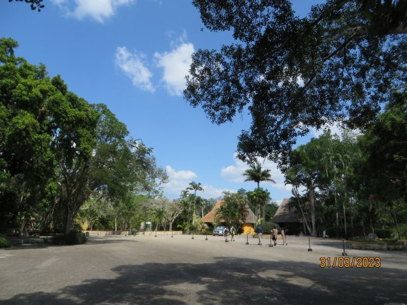  - 10 Cenota Ikkil - Cancun