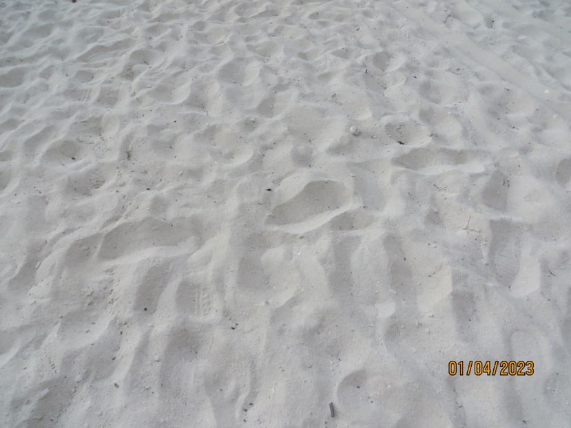  - 10 Cenota Ikkil - Cancun