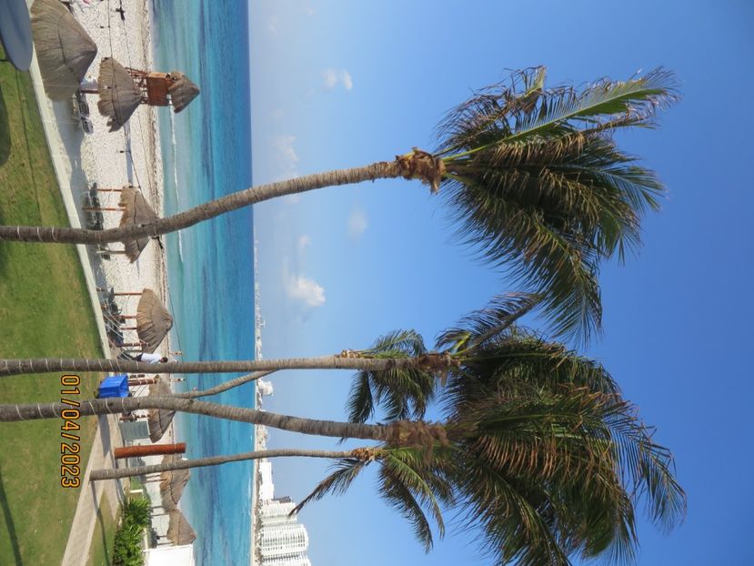  - 10 Cenota Ikkil - Cancun