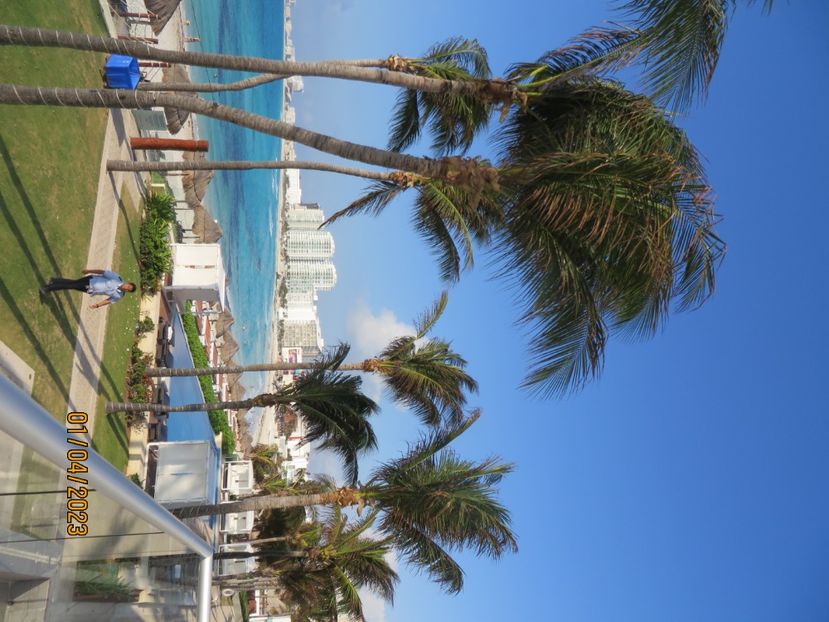  - 10 Cenota Ikkil - Cancun