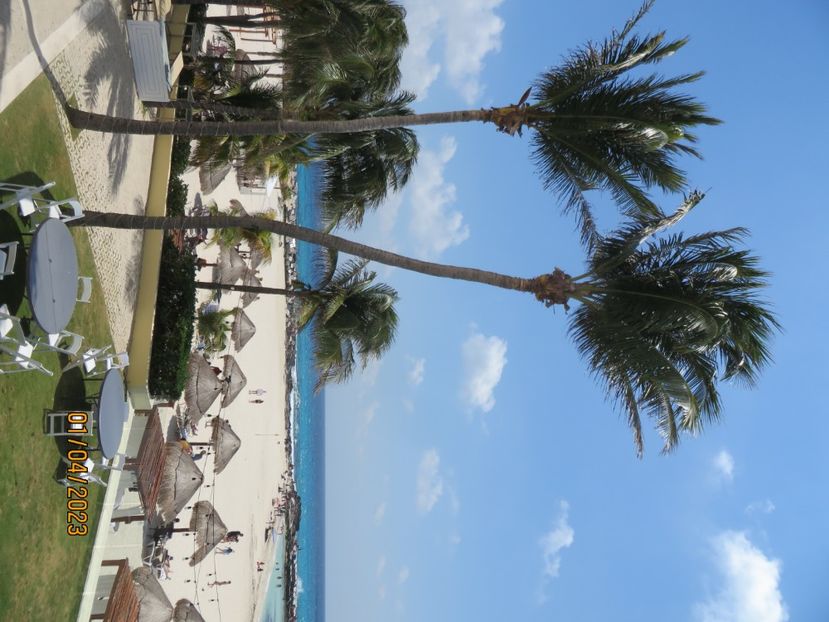  - 10 Cenota Ikkil - Cancun