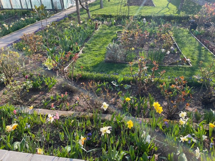 E3916259-FAA6-4521-B70D-F8DF21CA5DED - 01 Primăvara 2023