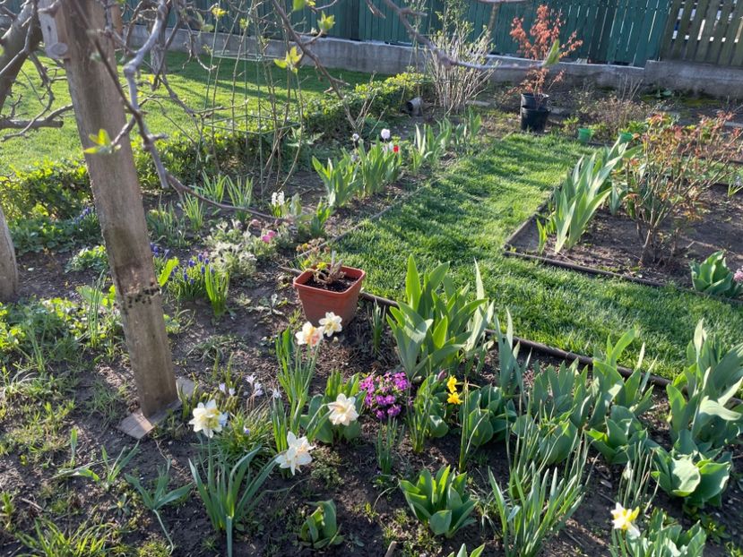 3F8BB847-47AD-4749-AAA4-6632E9446B67 - 01 Primăvara 2023