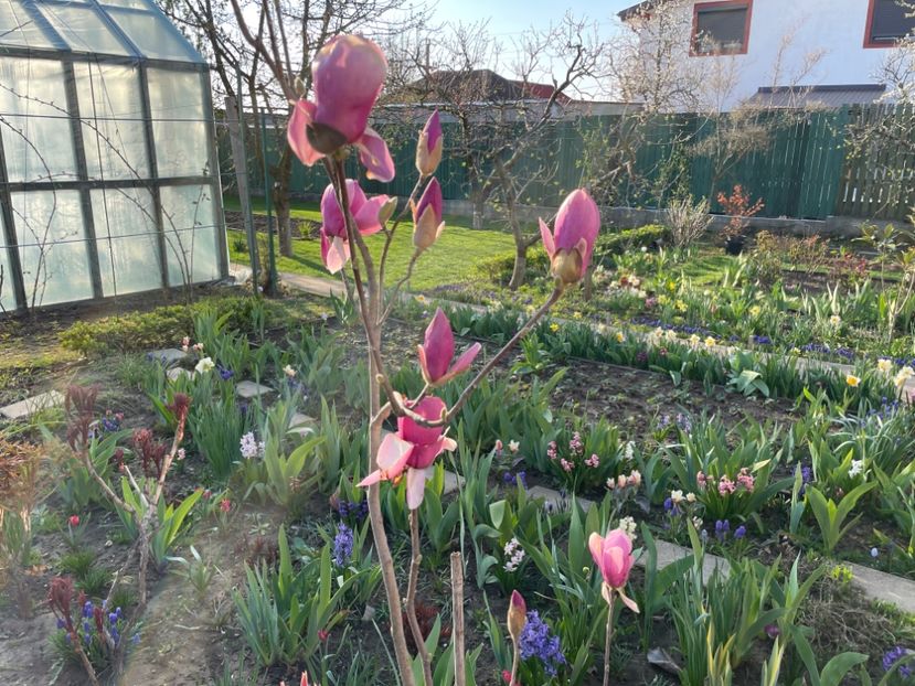 16497334-A370-4BE2-AE37-3909F62E4692 - 01 Primăvara 2023