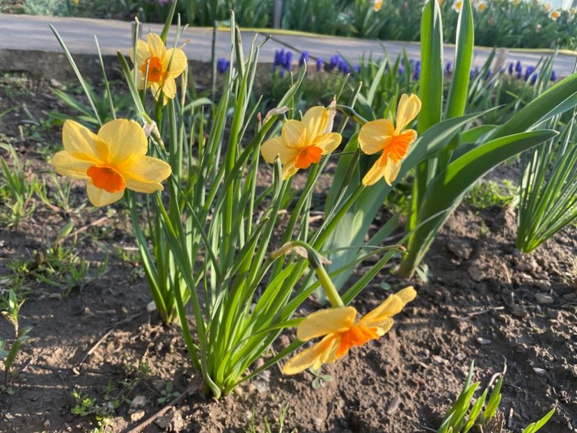 45D40DAB-5DB9-4FDB-97B4-72BE61DBDAB5 - 01 Primăvara 2023