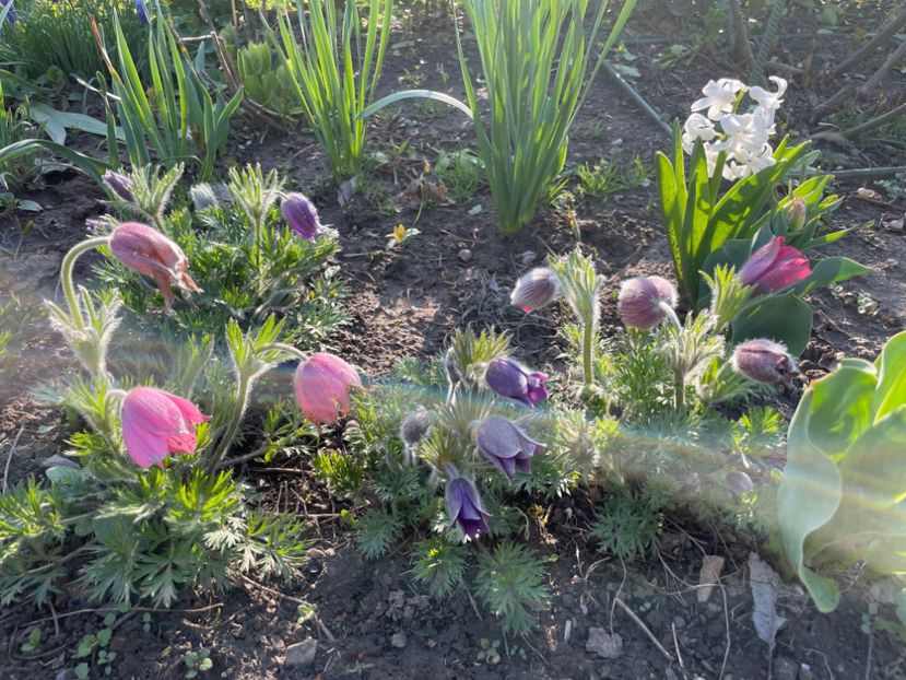 3925DC7E-4A12-42A4-8C38-485BAA88B125 - 01 Primăvara 2023