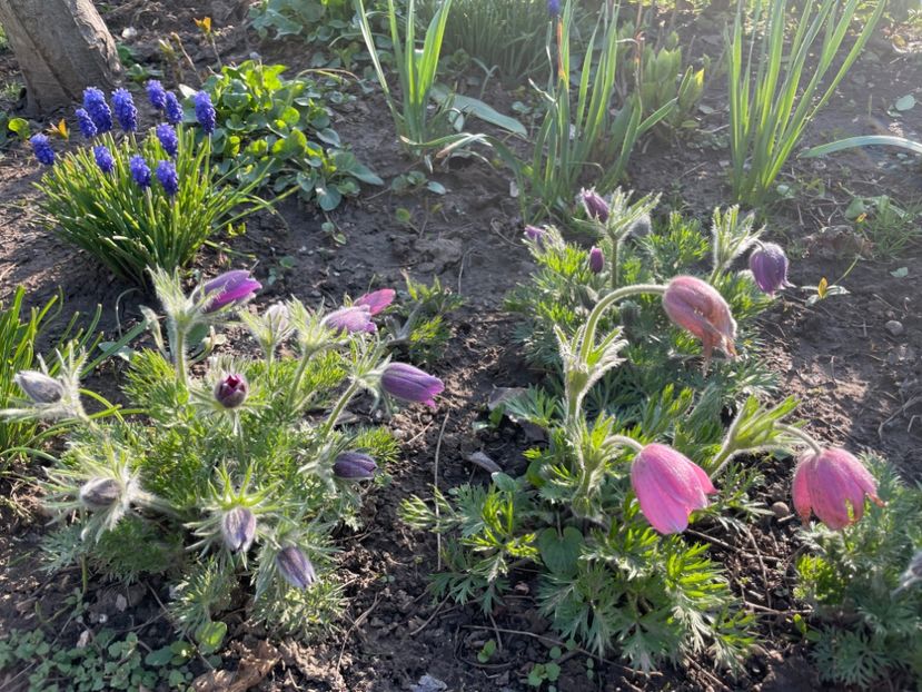 0D6705A4-2BF0-44F5-9CE5-551357F06D9E - 01 Primăvara 2023