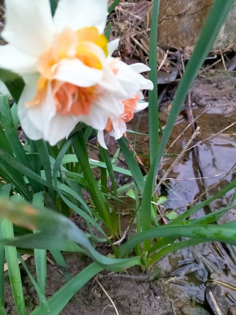 IMG20230407171648 - Aprilie 2023