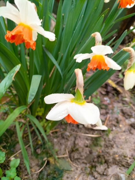 IMG20230407171627 - Aprilie 2023