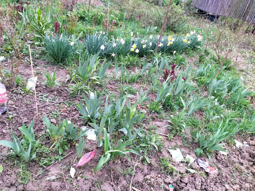 IMG20230407171057 - Aprilie 2023