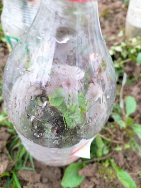 IMG20230407170754 - Aprilie 2023