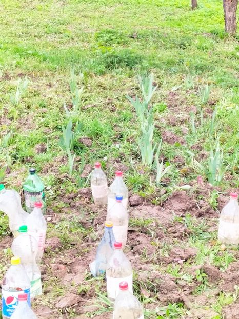 IMG20230407170739 - Aprilie 2023