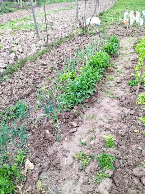 IMG20230407170707 - Aprilie 2023