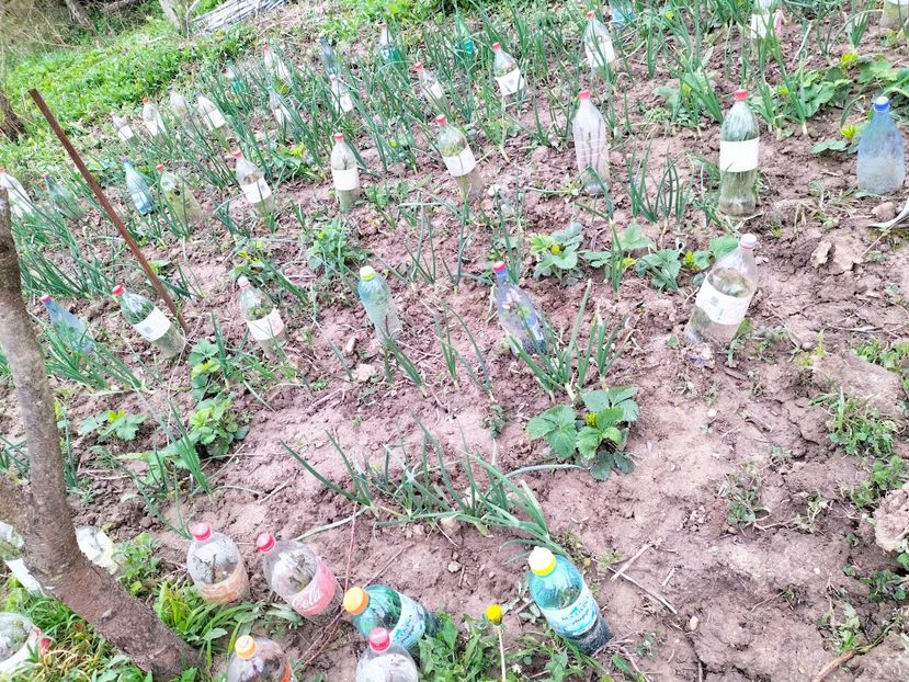 IMG20230407161930 - Aprilie 2023