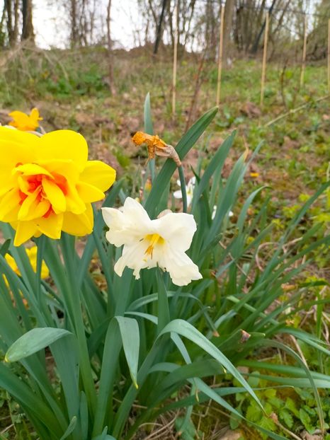 IMG20230407161815 - Aprilie 2023