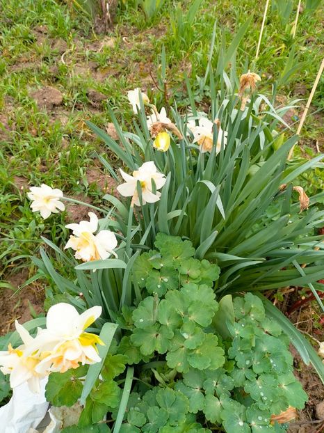 IMG20230407161731 - Aprilie 2023