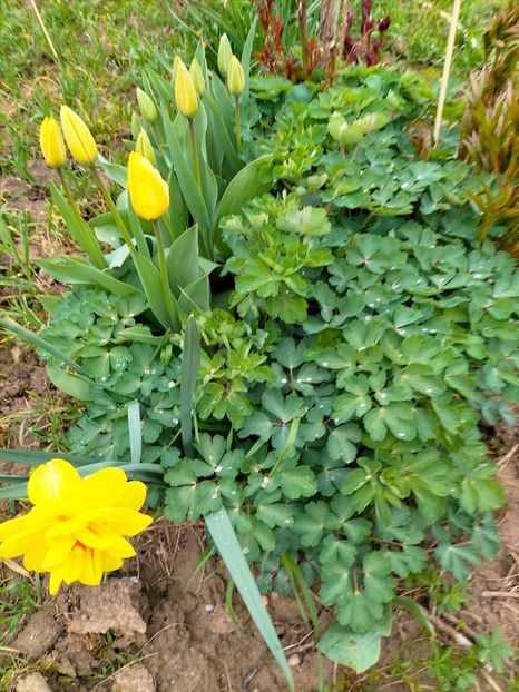 IMG20230407161721 - Aprilie 2023