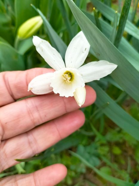 IMG20230407161700 - Aprilie 2023