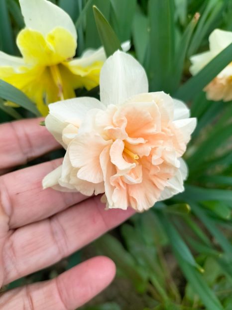 IMG20230407161558 - Aprilie 2023