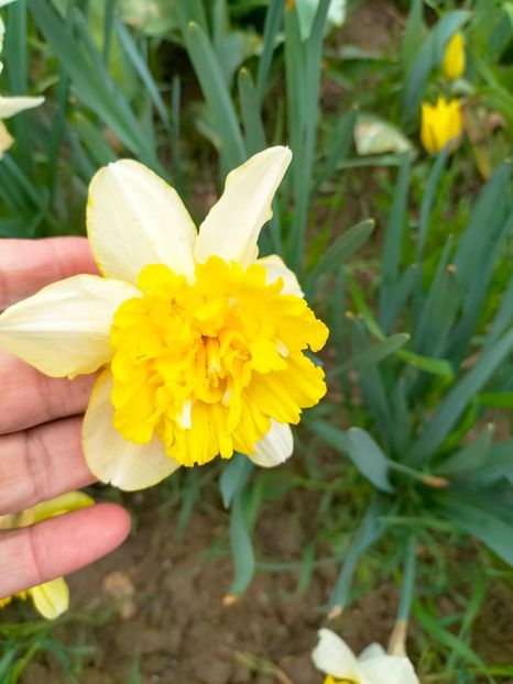 IMG20230407161554 - Aprilie 2023